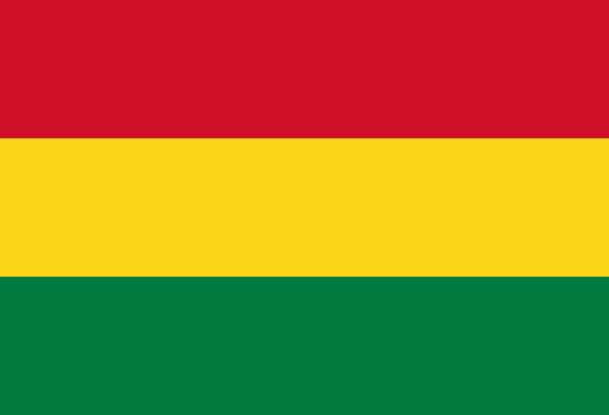 Find Tutor in Bolivia