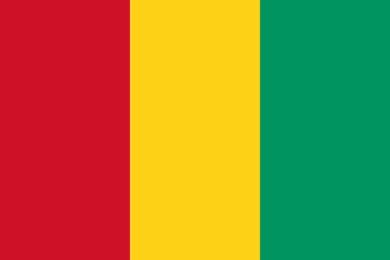 Private Tutors in Guinea