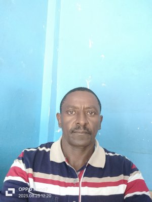 teacher profile link