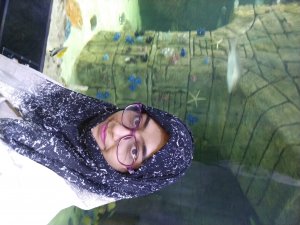 teacher profile link